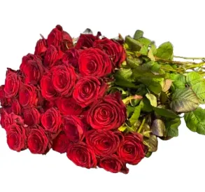 Bukiet czerwonych róż