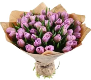 Bukiet Fioletowych Tulipanów