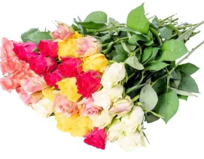 Bukiet kolorowych róż 