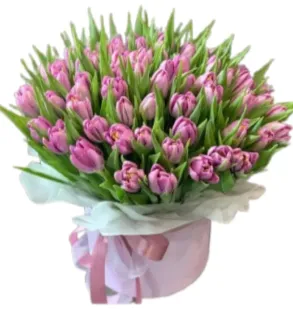 Flower box fioletowych tulipanów