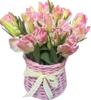 Tulipany Premium w różowym koszyczku